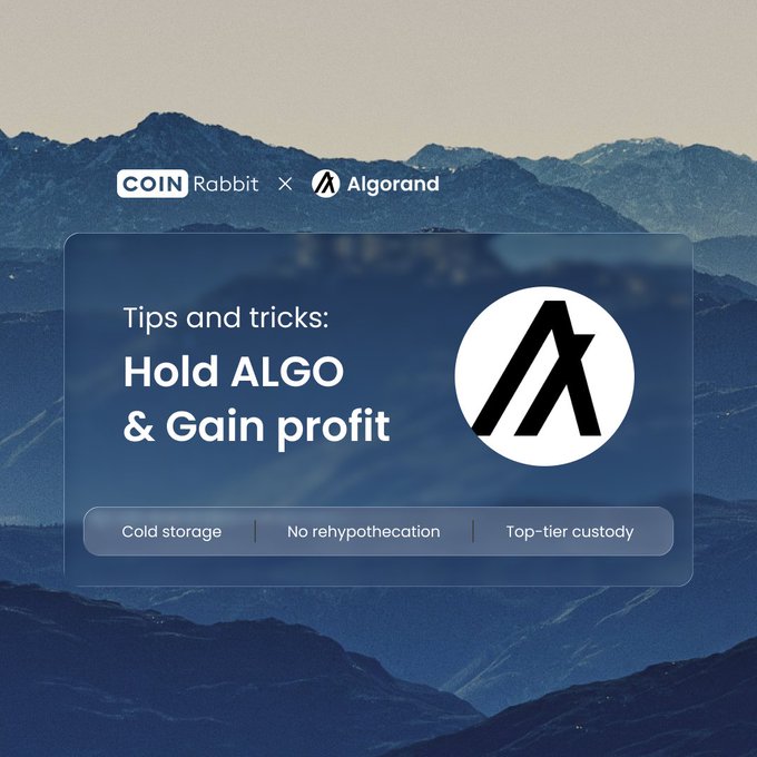 A promotional image for CoinRabbit x Algorand with the title 'Tips and tricks: Hold ALGO & Gain profit' and benefits including cold storage, no rehypothecation, and top-tier custody.