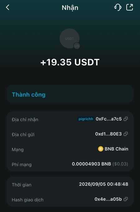 A cryptocurrency wallet screenshot shows a successful transaction receiving +19.35 USDT on the BNB Chain, dated 2026/09/05 00:48:48.