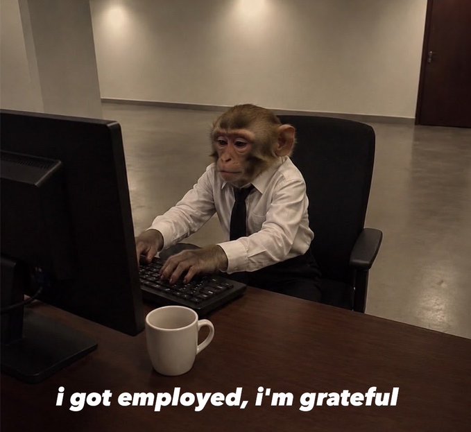A monkey wearing a white shirt and black tie sits at a desk typing on a computer keyboard, with the caption "i got employed, i'm grateful".