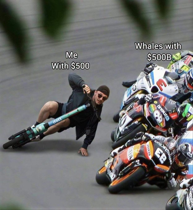 A humorous meme showing a person falling off a small bicycle labeled "Me With $500" being chased by a group of professional motorcycle racers labeled "Whales with $500B".