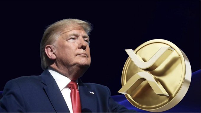 A composite image showing Donald Trump in a suit and red tie on the left, alongside a large 3D golden XRP (Ripple) cryptocurrency coin on the right.