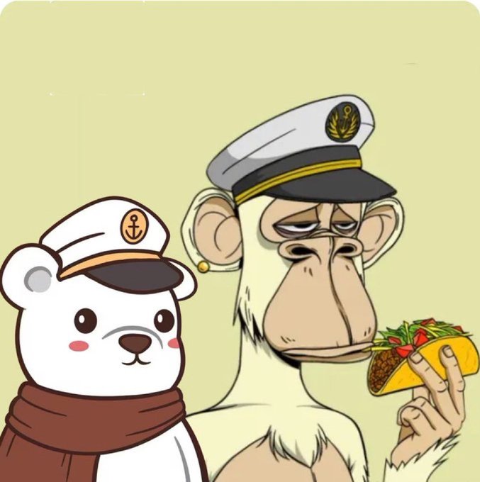 An illustration of a polar bear and a monkey wearing sailor caps; the monkey is eating a taco.