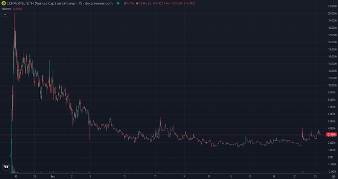 The image is a candlestick chart from DexScreener showing the $COPPERINU/USDT token on Uniswap, displaying a sharp initial spike above 20,000 followed by a prolonged downtrend stabilizing around 2.00-3.00 over roughly two weeks. The chart visually supports the poster's contrarian "buy, stake and forget" sentiment, as it shows the token has already experienced massive capitulation and is now consolidating at depressed levels—a common setup for diamond-hand accumulation plays.