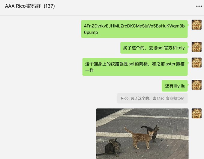 A WeChat group chat titled "AAA Rico 密码群 (137)" shows messages in Chinese where someone shares a Solana wallet address and an image of two cats, with the poster remarking that the patterns on the cat's body match the SOL logo and aster panda, alongside a quote praising SOL as an evergreen chain with consistent winning signals.