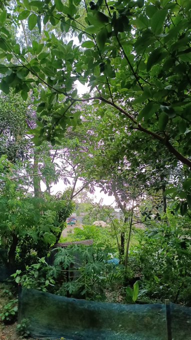 The image shows a lush green forest with trees, bushes, and plants. There are two benches visible in the scene - one located near the center of the image and another towards the right side. A person can be seen sitting on the bench closer to the left side of the image. In addition to these elements, there is also a car parked nearby, possibly belonging to someone visiting or living in the area. The post features an inspiring quote from @NomismaNetwork Superbullish and @useTria, which encourages people not to give up even during tough times.