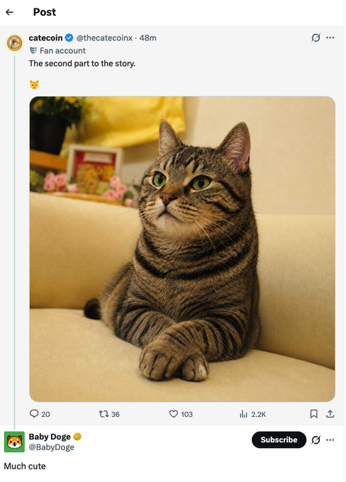 A tabby cat sits upright on a cream-colored couch in a Twitter/X post from "catecoin" (@thecatecoinx) captioned "The second part to the story. 🐱", with BabyDoge (@BabyDoge) commenting "Much cute" below. The image visually ties to the accompanying post promoting the $CATE token, likely referencing the "catecoin" meme narrative.