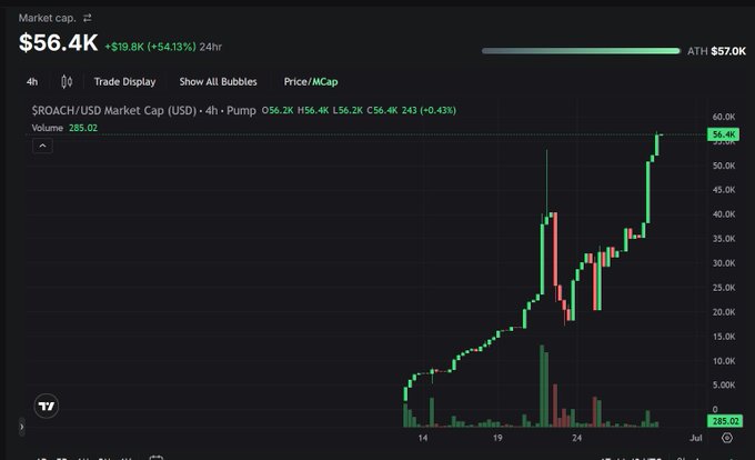 A cryptocurrency market cap chart showing $ROACH/USD with a market cap of $56.4K, up +54.13% in 24hr, displaying a price pump of 056.2K H56.4K L56.2K with an ATH of $57.0K.