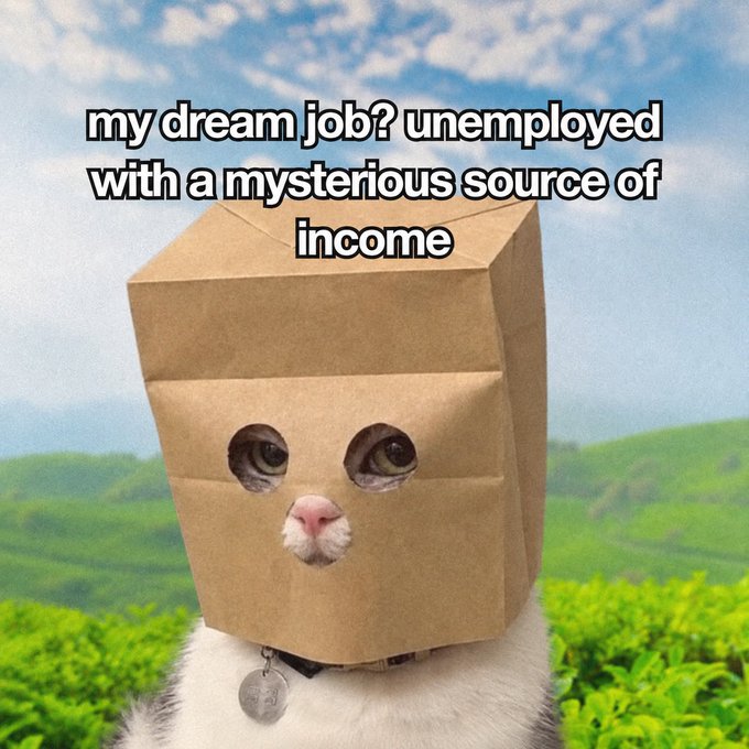A cat wearing a brown paper bag over its head with cutout holes for eyes, set against a green hilly landscape, with meme text reading 'my dream job? unemployed with a mysterious source of income'.