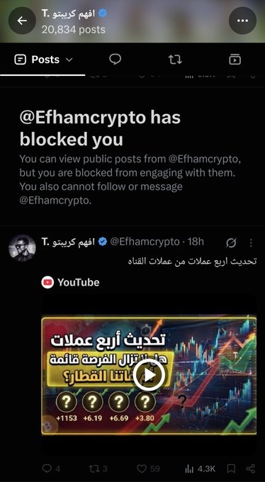 The image shows a blocked notification from @Efhamcrypto on a social media platform, with a pinned post below featuring a YouTube thumbnail in Arabic titled "تحديثات أرز عملات من البيتكوين وغيرها من العملات القائمة الذاتا القطعت" (Updates on trending coins from Bitcoin and other self-listed coins), displaying performance metrics like +1153, +6.19, +6.69, and +3.80, with 4.3K views—suggesting "The Rocker 12" refers to a crypto influencer or chart pattern related to this trending cryptocurrency update content.