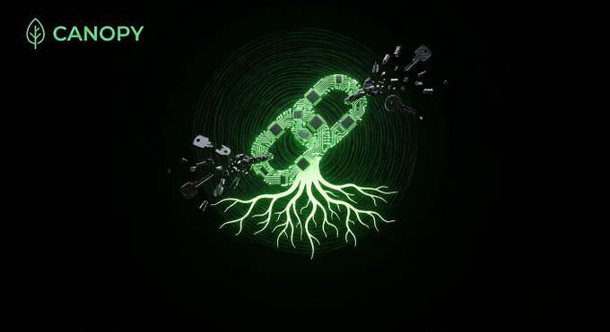 A stylized graphic featuring a glowing green tree with circuit board patterns in its canopy, roots extending downward, and the 'CANOPY' logo in the top left.