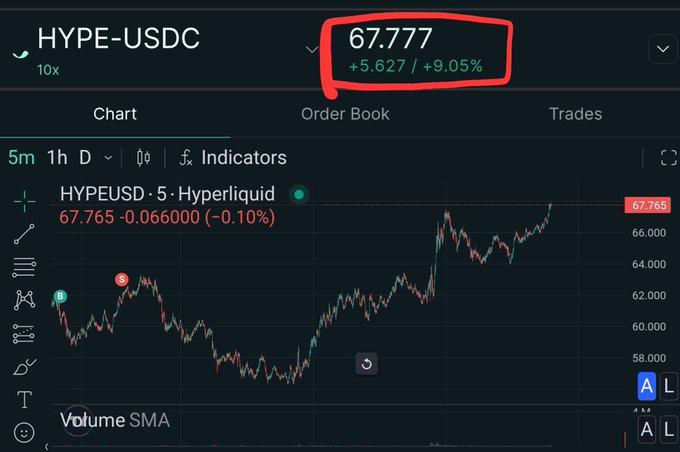 The image shows a chart of stock prices, with a red circle indicating the current price at $67,737.9%. The chart displays the price fluctuations over time for a particular stock or cryptocurrency. The post about hype-usdc is related to this chart because it provides information on the stock market and its performance.