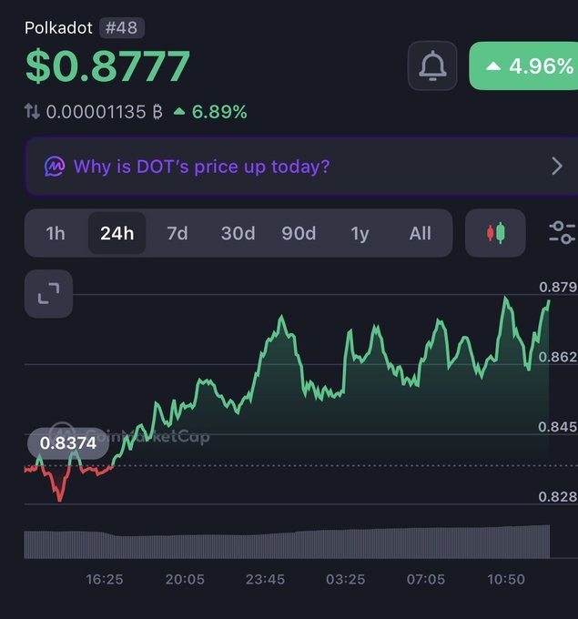 A cryptocurrency price chart for Polkadot (#48) showing DOT at $0.8777, up 4.96% over 24h with an upward trending green line graph.