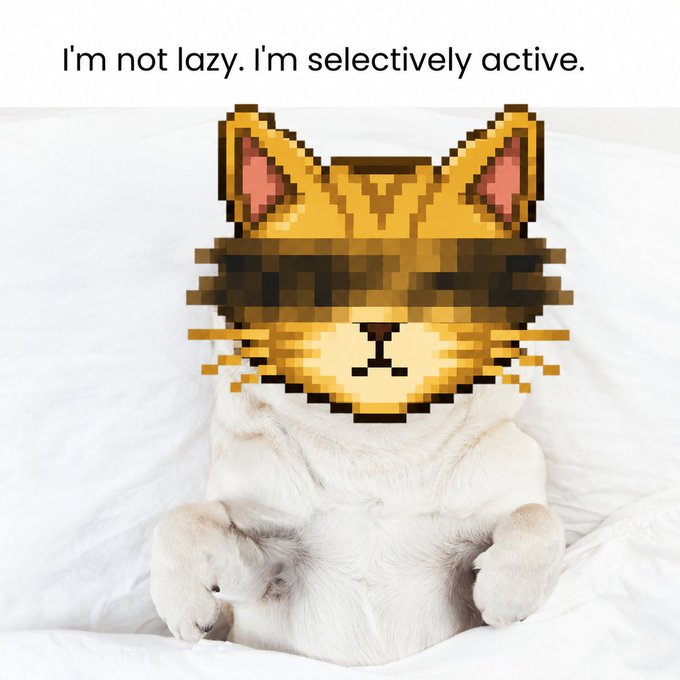 A meme image showing a cat sitting on a white bed with a pixelated "Deal With It" sunglasses meme face, accompanied by the text "I'm not lazy. I'm selectively active."