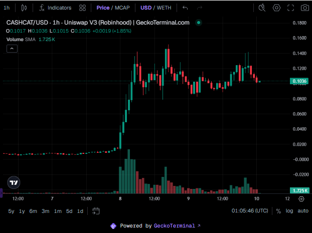 A trading chart on GeckoTerminal showing the CASHCAT/USD 1-hour price data on Uniswap V3 (Robinhood), displaying a candlestick chart with prices ranging from approximately 0.0000 to 0.1800 and a volume of 1.725K.