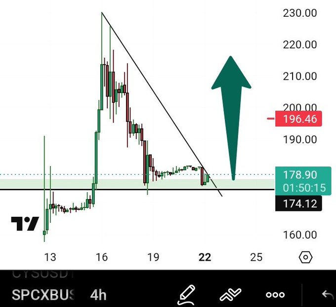 In this image, there's a chart showing the price movement of SPCXB (spacex bullish outlook) over time. The chart depicts an upward trend with a green upward arrow pointing towards it. The prices are set at different times during the period shown in the image. This information might be useful for investors and traders to make informed decisions about their strategies or portfolio allocation, depending on the current market conditions.