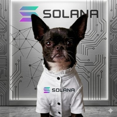 The image features a small dog wearing a white shirt with "Solana" written on it, standing next to a computer circuit board. The dog appears to be dressed for a special occasion or event related to the Solana cryptocurrency. The background of the image is a metallic gray color and includes a silver circle design. There are also some text elements in the image that read "THE KING OF DOGS IS HERE! Move over, the fastest Chihuahua on Solana has arrived, and he’s ready to strike like lightning!", which suggests that the dog might be participating in an event or competition related to the Solana cryptocurrency.