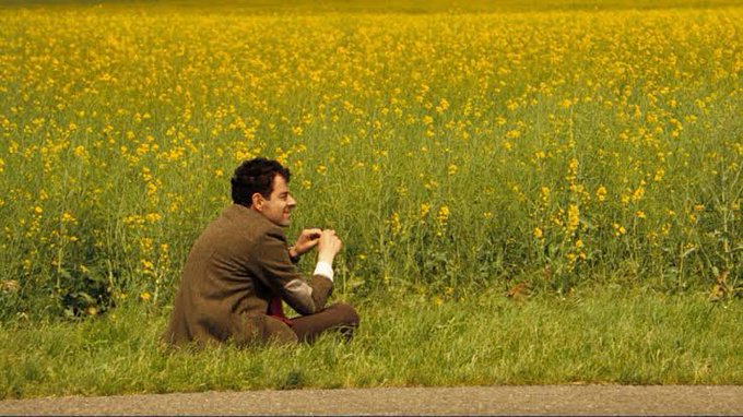 A man in a brown jacket sits in a vast field of yellow flowers, holding something in his hands and looking off to the side.