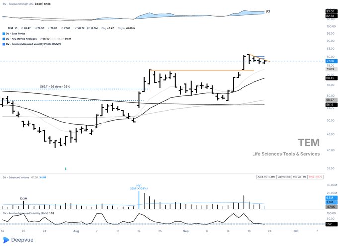 A DeepVue technical analysis chart for $TEM (Life Sciences Tools & Services) shows the stock in a flag consolidation pattern near its $67.68 all-time high, with the 10/03 ratio at 93 and RSI at 82.68, accompanied by a relative strength chart, volume bars showing an average of 10.0M shares, and historical volatility data. The price action has tightened within a flag formation after the recent breakout, suggesting potential continuation if support holds above the rising moving averages.