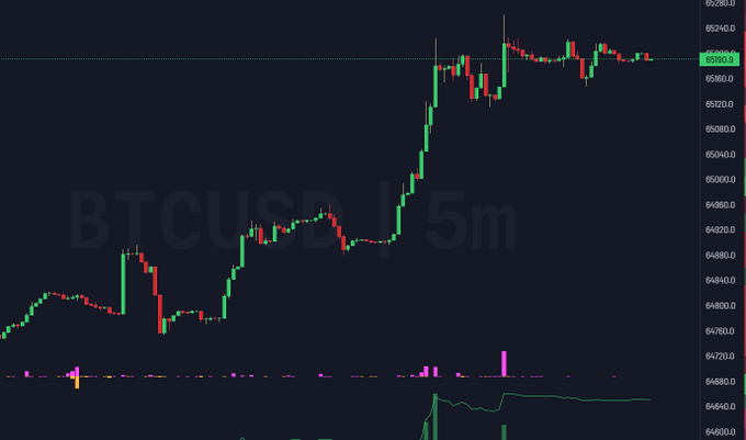 A cryptocurrency trading chart for BTCUSD on a 5-minute timeframe is displayed against a dark background, with green and red candlesticks showing price movement.