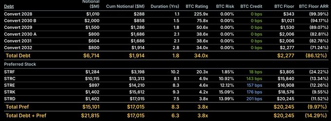 A financial data table showing Convertible debt and Preferred Stock details with columns for Notional, BTC Rating, Risk, and Floor ARR.