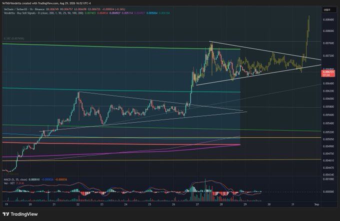 A TradingView chart of VeChain (VET/USD) showing price action with technical analysis lines and an MACD indicator at the bottom.
