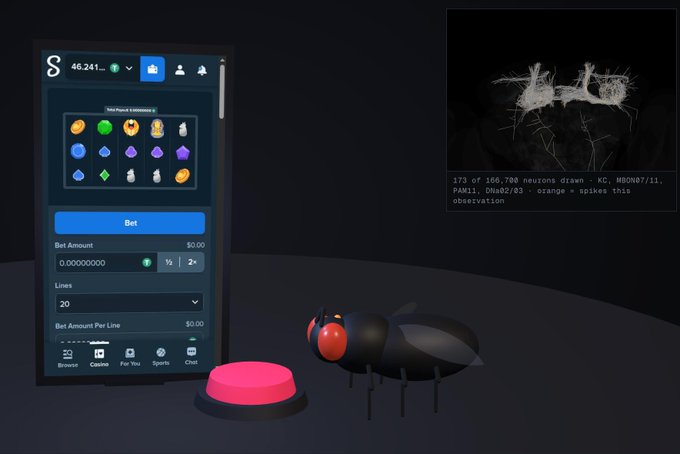 A 3D virtual environment shows a black fly character with red eyes standing next to a pink button, beside an interface with betting options (showing '$46,241') and a neural network visualization with text reading '173 of 166,780 neurons drawn - KC, MBDN07/11, PAM11, DNA07/03 - orange = spikes this observation.'