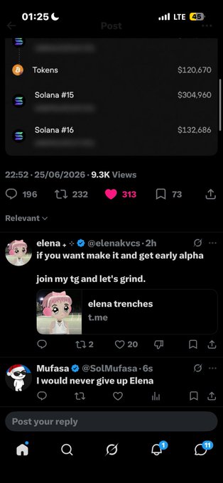 A Twitter/X screenshot displays a post featuring token holdings ($120.670 Tokens, $304,960 Solana #15, $132,686 Solana #16) and engagement metrics (9.3K views, 196 comments, 232 reposts, 313 likes), with replies from @elenakvcs promoting a Telegram alpha group and @SolMufasa declaring loyalty ("I would never give up Elena"). The wallet address "BakyXRTtW2cdivHrqoENQhSfaMjGLRgDudV8QSBGcKNf" is being shared by "Derrick" to showcase their Solana memecoin portfolio performance.