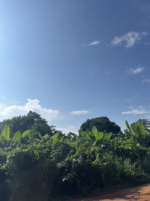 A scenic outdoor shot of lush green tropical vegetation and trees under a bright blue sky with scattered clouds, with a red dirt path in the foreground.