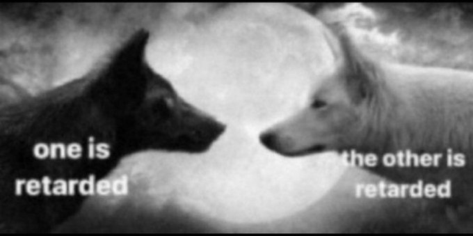 A black and white meme showing two wolves facing each other against a full moon, with text labeling both as 'retarded' on the left and right sides.