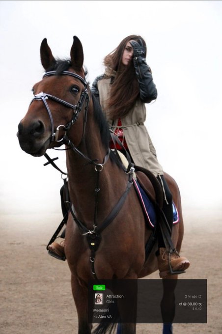 A woman with long brown hair rides a dark brown horse through a foggy landscape in this NFT artwork titled "Attraction" by Melasoni (Alex, VA), sold for 30 XTZ as a 3/5 edition on objkt.com. The image has a watermark reading "Attraction, Girls, x1 @ 30.00 XTZ" in the bottom right corner.