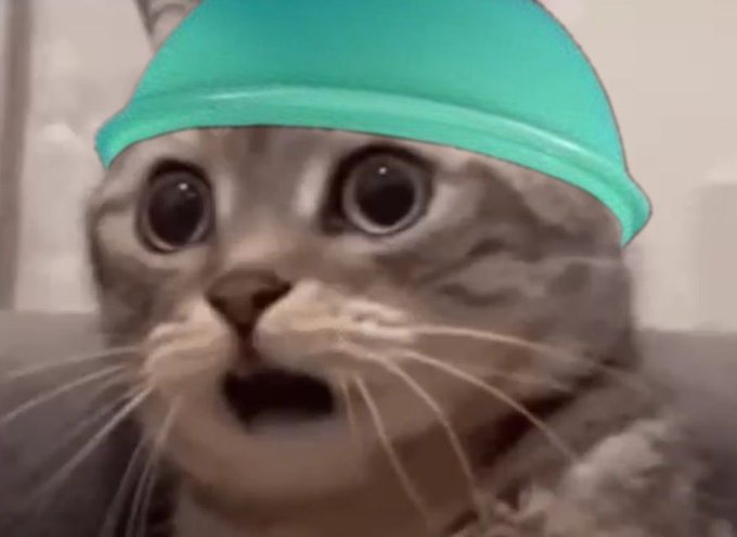 A wide-eyed gray tabby kitten wears a bright teal plastic cone on its head, mouth open in apparent shock. The image humorously fits the post's plea for memes with its absurd, meme-worthy expression of stunned disbelief.