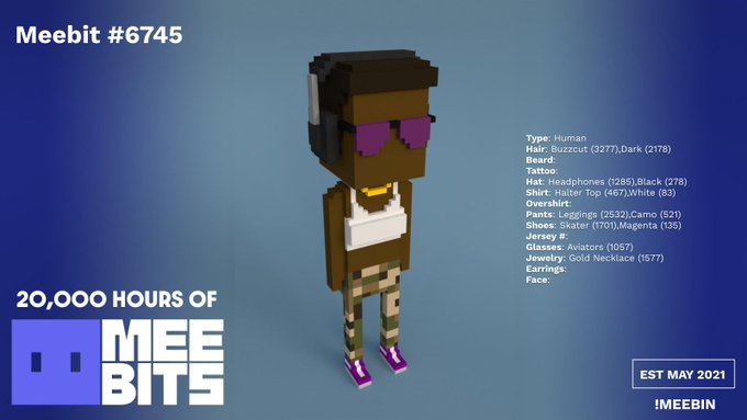 A promotional graphic for Meebits NFT #6745, showing a pixelated 3D character wearing a buzzcut, headphones, purple aviators, a halter top, camouflage pants, and a gold necklace, with text noting '20,000 HOURS OF MEEBITS' and 'EST MAY 2021'.