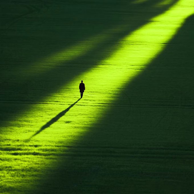 A lone figure casts a long shadow across a vast, sun-drenched green field, bathed in striking diagonal beams of golden-green light. The solitary silhouette walking toward the light visually echoes the post's message—evoking the idea of a single person on a personal "arc," stepping into a new, illuminated path, as if inviting someone to begin their onchain journey.