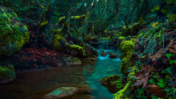 A lush, green forest stream with a small waterfall, featuring moss-covered rocky banks and fallen reddish leaves, rendered in a slightly surreal, cinematic color palette.