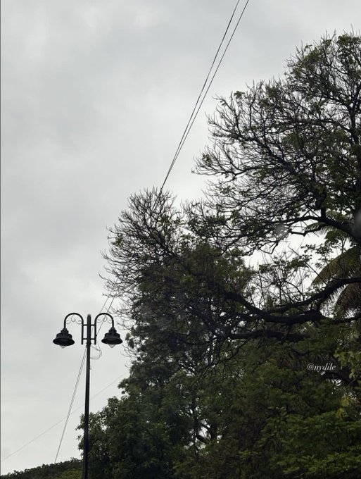 A cloudy sky scene featuring a black double-headed street lamp post on the left, overhead power lines, and a large tree on the right, with watermark "@nydie" visible.