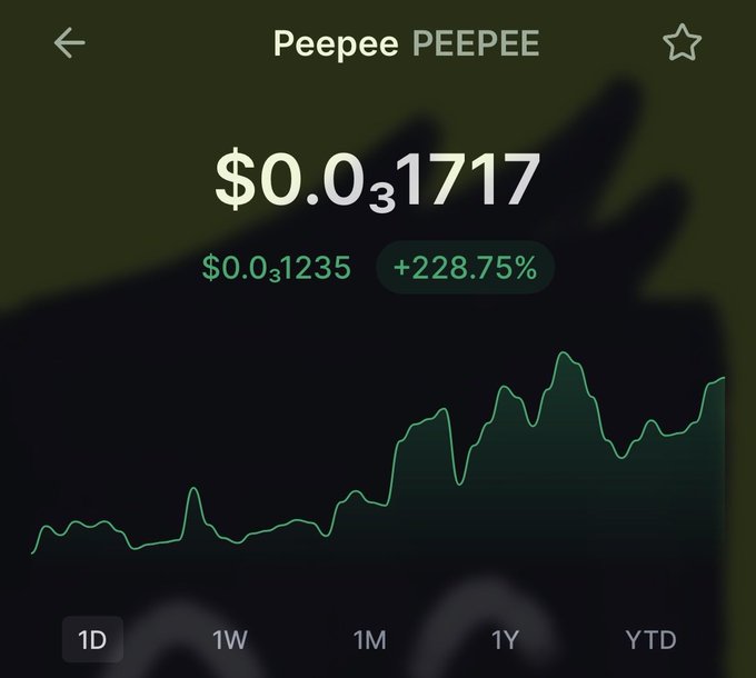A cryptocurrency or stock tracking app showing a token named 'Peepee PEEPee' priced at $0.0₃1717, up 228.75% from $0.0₃1235, with a 1D line chart trending upward.