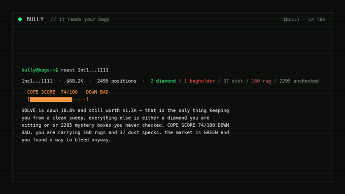 A terminal-style interface for a tool called 'BULLY' displaying an output for 'incl....1111' with a 74/100 COPE SCORE, detailing $68.2K across 2495 positions including 2 diamond, 1 bagholder, 37 dust, and 160 rug items.