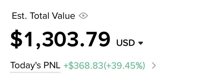 A financial portfolio screenshot showing 'Est. Total Value $1,303.79 USD' with 'Today's PNL +$368.83 (+39.45%)' displayed in green.