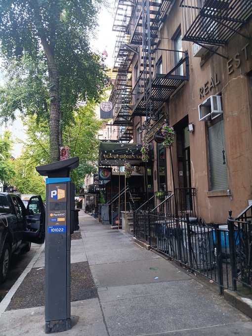 A New York City street scene featuring a ParkNYC parking meter, fire escapes, and a restaurant named 'Senor Frog's NYC' with brownstone buildings.