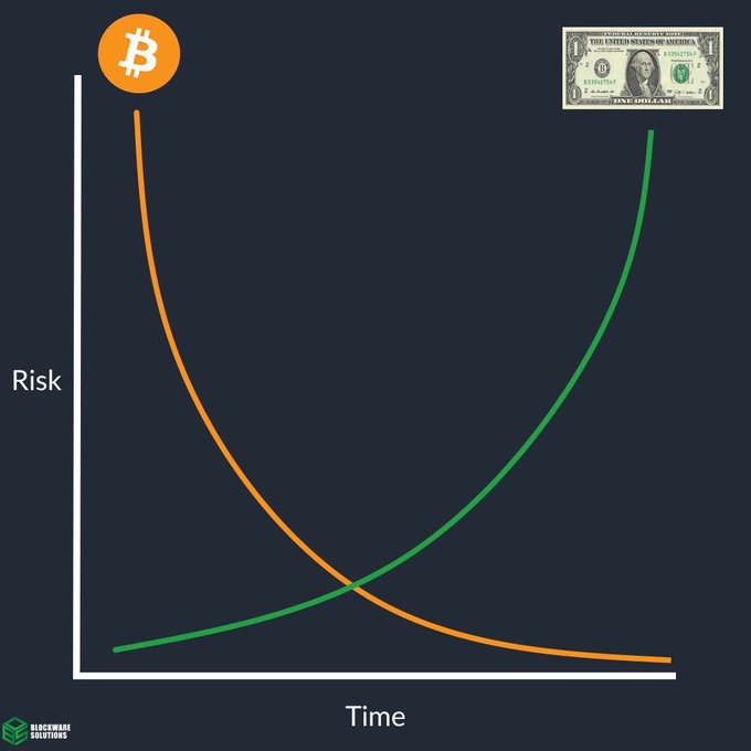 A chart by "Blockchain Solutions" plots Risk vs. Time, showing an orange Bitcoin curve trending downward and a green US dollar bill curve trending upward, illustrating how the post's home value has dramatically declined when measured in Bitcoin (1,818 to 18 BTC) while doubling in fiat terms.