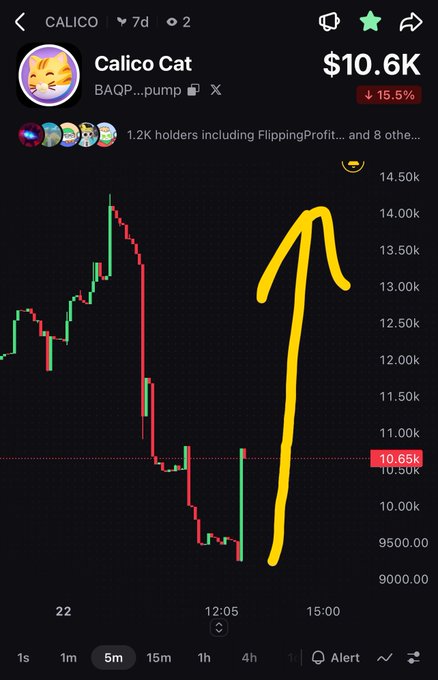 A trading chart for 'Calico Cat' (BAQP...pump) showing a price drop from ~14.50k down to 10.65k (~$10.6K, down 15.5%), with a yellow arrow drawn pointing upward from the bottom.