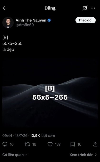 A screenshot of a tweet by Vinh The Nguyen (@drofin69) reading '[B] 55x5~255 là đẹp', meaning '[B] 55x5~255 is beautiful'.