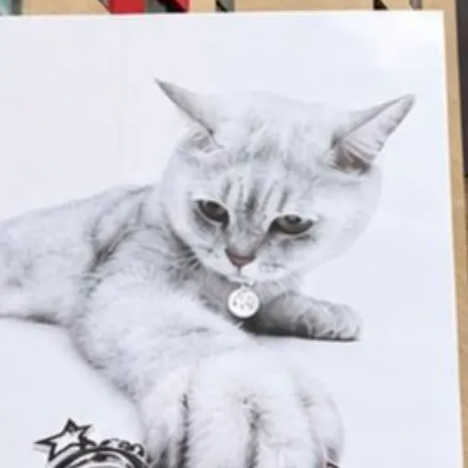 A drawing of a gray and white kitten lying down wearing a collar with a round pendant tag, with a star and crown logo visible at the bottom.