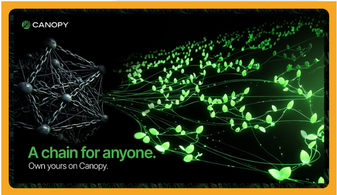 An advertisement for Canopy displaying a glowing green network of leaf-like nodes flowing from a sphere, with the tagline 'A chain for anyone. Own yours on Canopy.'