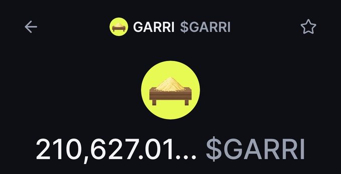 A cryptocurrency portfolio screen showing the token 'GARRI $GARRI' with a balance of 210,627.01... $GARRI and a profile icon of a yellow mound on a green circle.