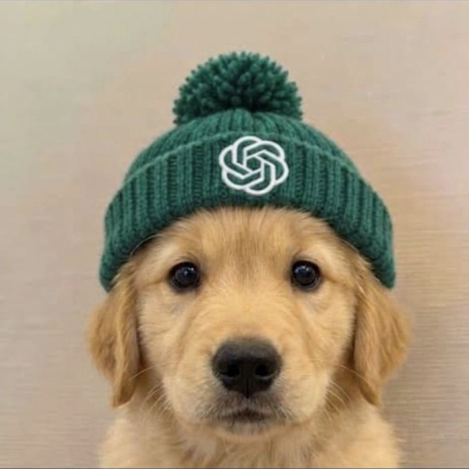 A fluffy golden retriever puppy wearing a dark green knit beanie with a pom-pom and a white circular knot logo faces the camera with a calm, attentive expression, tying into the post's playful launch of "$DOGPT" as a dog-themed counterpart to "CatGPT" positioned to "fetch the next green candles."