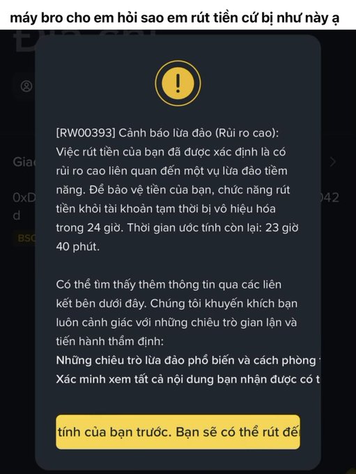 A Vietnamese-language Binance withdrawal warning popup [RW00393] cautioning about high-risk scam activity, stating the withdrawal function is temporarily disabled for 24 hours with 23 hours 40 minutes remaining, advising verification before proceeding.