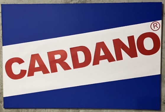 The Cardano logo displayed as a blue rectangle with a white diagonal stripe containing the word 'CARDANO' in bold red letters and a registered trademark symbol.