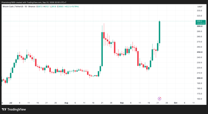 A TradingView candlestick chart for Bitcoin Cash/TetherUS (BCHUSDT) showing price movements from July to October, currently at 309.6 USDT.