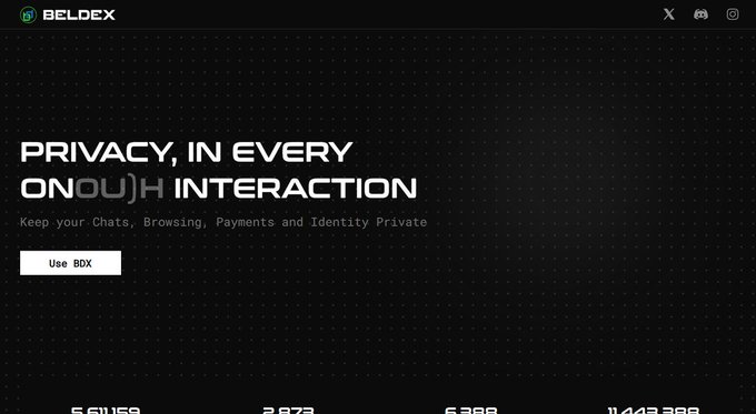A dark landing page for BELDex with the tagline 'PRIVACY, IN EVERY (ONO)H INTERACTION', encouraging users to keep chats, browsing, payments, and identity private.